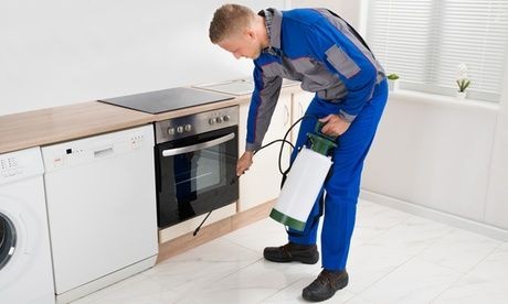 sanitariya sanitariya-gigiyena sanitariya-gigiyena sanitariya-epidemioloji qaydalar və normativlər sanitariya-epidemioloji salamatlıq haqqında sanitariya qaydaları sanitariya gigiyena qaydaları sanitariya az sanitariya-gigiyena.az Sanitariya Dezinfeksiya Xidmetleri. jedansoft.az Veb saytlarin hazirlanmasi