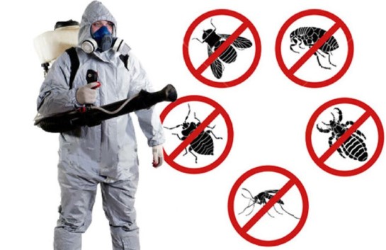 sanitariya sanitariya-gigiyena sanitariya-gigiyena sanitariya-epidemioloji qaydalar və normativlər sanitariya-epidemioloji salamatlıq haqqında sanitariya qaydaları sanitariya gigiyena qaydaları sanitariya az sanitariya-gigiyena.az Sanitariya Dezinfeksiya Xidmetleri. jedansoft.az Veb saytlarin hazirlanmasi